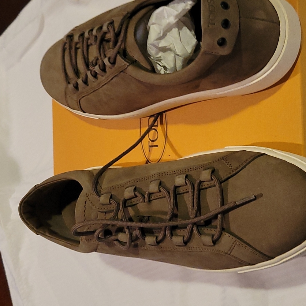 Men's Tods Sport Shoes